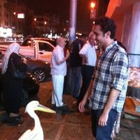 Fotos von Ahmed Bedir