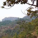 Mahuli Fort Trekking And Camping 's picture