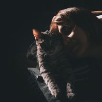 Fatima Rezagholi's Photo