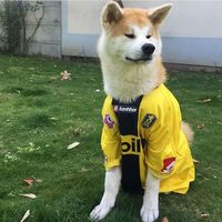 Benoit Cudrey的照片