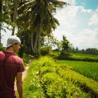 David Wachmann的照片