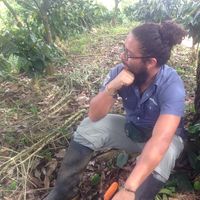 Zdjęcia użytkownika Julio Gamarra