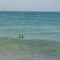 Sabina Hrdlickova's Photo