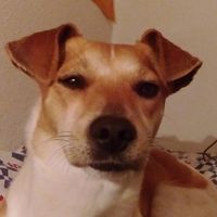 Ingrid Verdú Rubio的照片