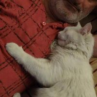 Fotos von Gültekin Gürçay