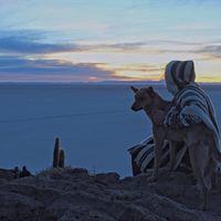 Photos de Matthew Rennie