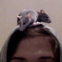 Fotos de Кристина Зарецкая