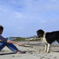 Photos de Ciara Gibbon