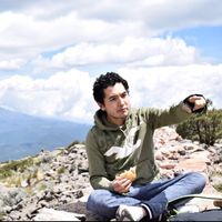 Mark Ehrlich的照片