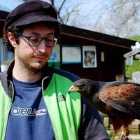 Federico Bertin的照片