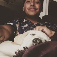 David Flores's Photo