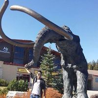 Michael Angulo's Photo