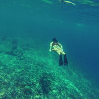 Valentina Navarro's Photo