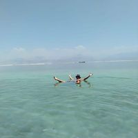 Photos de Alejandro Pendino