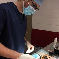 Charles Nicolas的照片