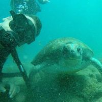 Christophe Vandenberghe's Photo