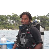 swraj Khare的照片