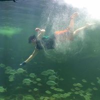 Vincent TheBigBoy's Photo