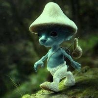 Photos de Elina Backally Levy