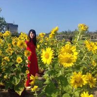 Hoài Thương Phan's Photo