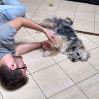 Francesco Staffiere的照片