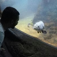 Kamil Kowalczyk's Photo