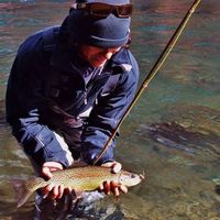 Fotos von Josh Polendey