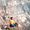 shayan moghadam's Photo