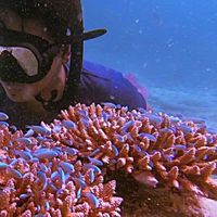 Jake Anthony Valenzuela's Photo