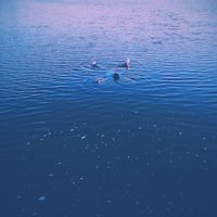 Violeta Lysenko's Photo