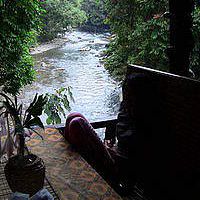 Mansi Parikh的照片