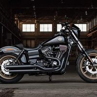 farh dourgham's Photo