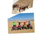 Horse Riding And Beach Buggy 's picture