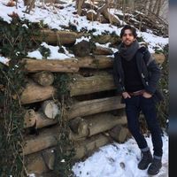 Ammar Sa'adeh's Photo