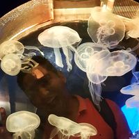 Fotos de Ahmed Hamdy