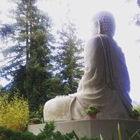 Zdjęcia użytkownika Claudia Roja