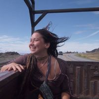 Mandalin Sunflower的照片