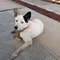 Алексей Ат's Photo