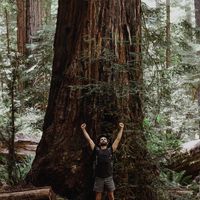 Jeffrey Pyles的照片