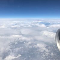 Mehrdad Nejat bakhsh's Photo