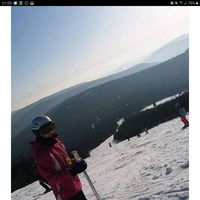 Johanna Schiemann的照片