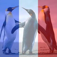 Bruce Aiguille's Photo