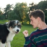 Simon Cravatte's Photo