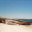 Neu in Berlin? Meet Travellers ✈️+ Locals's picture