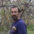 Hamed Hashemifar's Photo