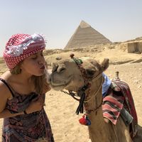 Luna & Bart Traveling's Photo