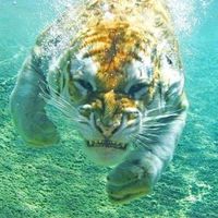 jose Pascual's Photo