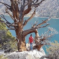 Yannick Moorman's Photo