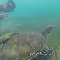 Jesus Ariza Carreño's Photo