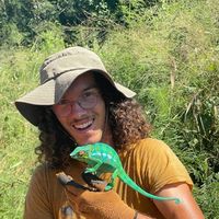 Sébastien Fougeroux's Photo